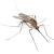 Chehalis Mosquitoes & Ticks by All-Shield Pest Control LLC
